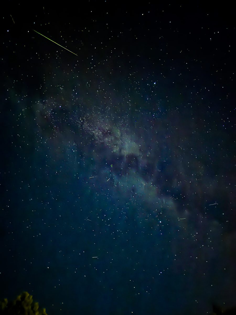 Perseid meteors streaking across the sky